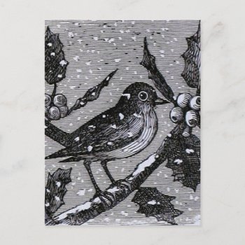 Christmas Robin Vintage Engraving Holiday Postcard by ChristmasVintage at Zazzle