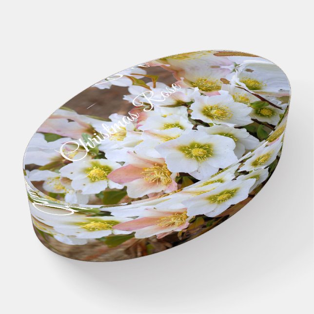 Christmas Rose [Glass Oval Paper Weight] Paperweight (Angled)