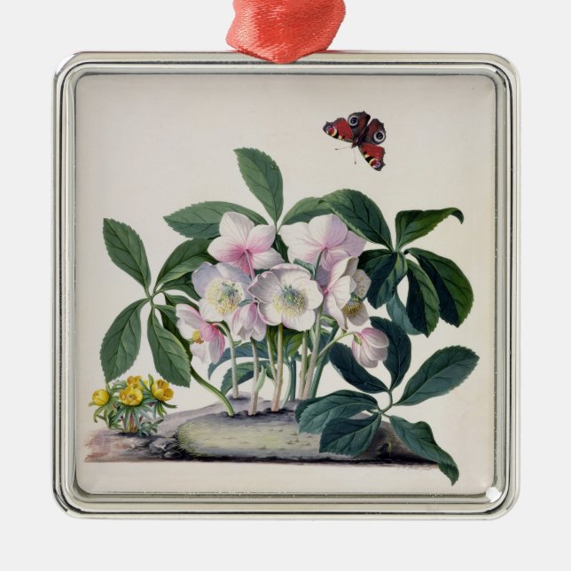 Christmas Rose (Helleborus niger) and Winter Aconi Metal Ornament (Front)
