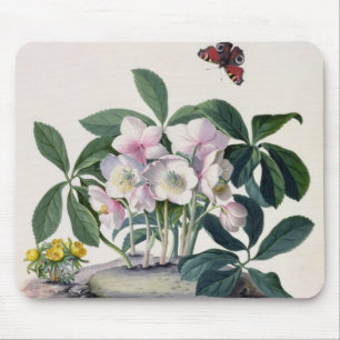 Christmas Rose (Helleborus niger) and Winter Aconi Mouse Pad