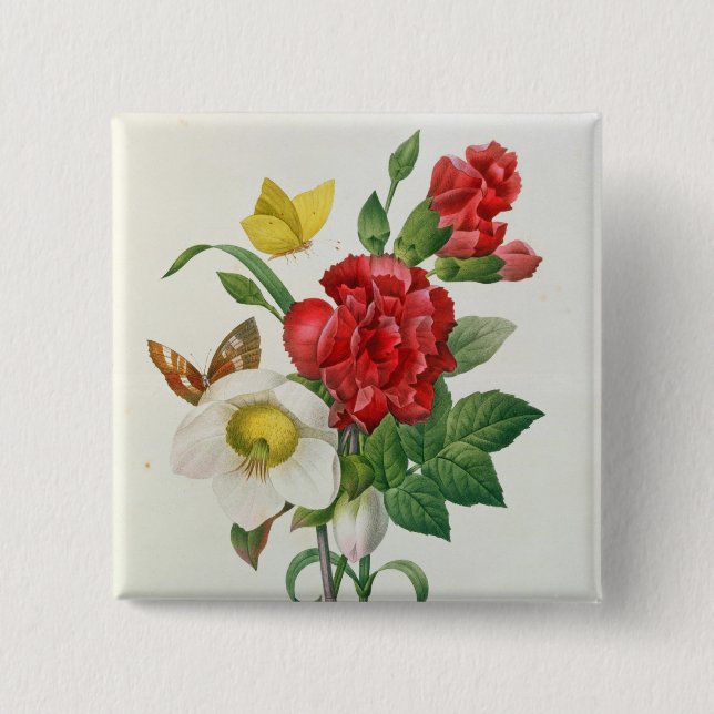 Christmas Rose, Helleborus niger Pinback Button (Front)
