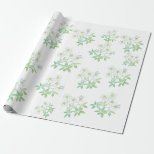 Christmas rose, Helleborus niger Wrapping Paper