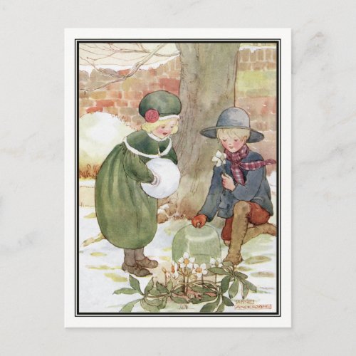 Christmas Roses by Anne Anderson Holiday Postcard