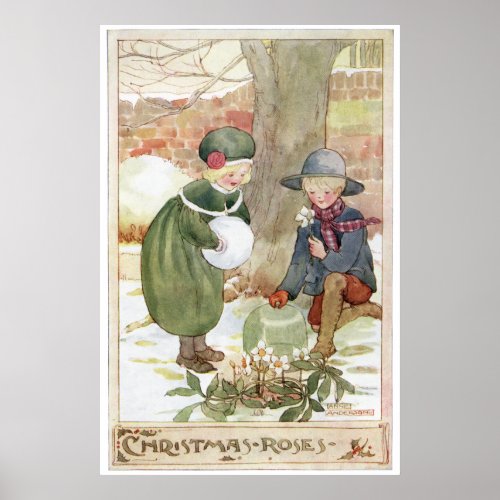 Christmas Roses by Anne Anderson Poster