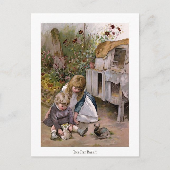 Christmas Roses: The Pet Rabbit Postcard (Front)