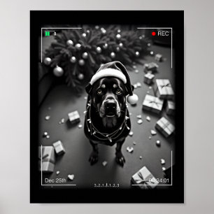 Christmas Rottweiler Caught On Camera  Poster