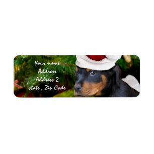 Christmas Rottweiler puppy Label