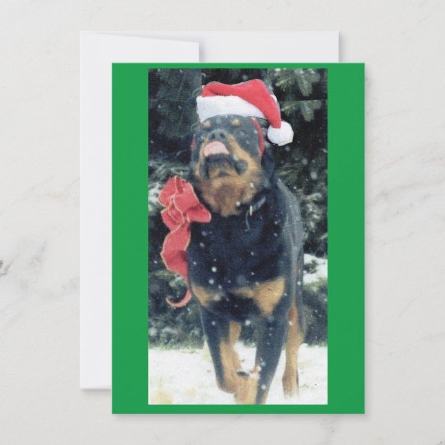 christmas rottweiler w/ santa hat, redbow, in snow invitation (Front)