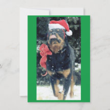 christmas rottweiler w/ santa hat, redbow, in snow