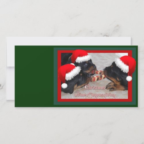 Christmas Rottweilers A Time of Joyous Giving Holiday Card