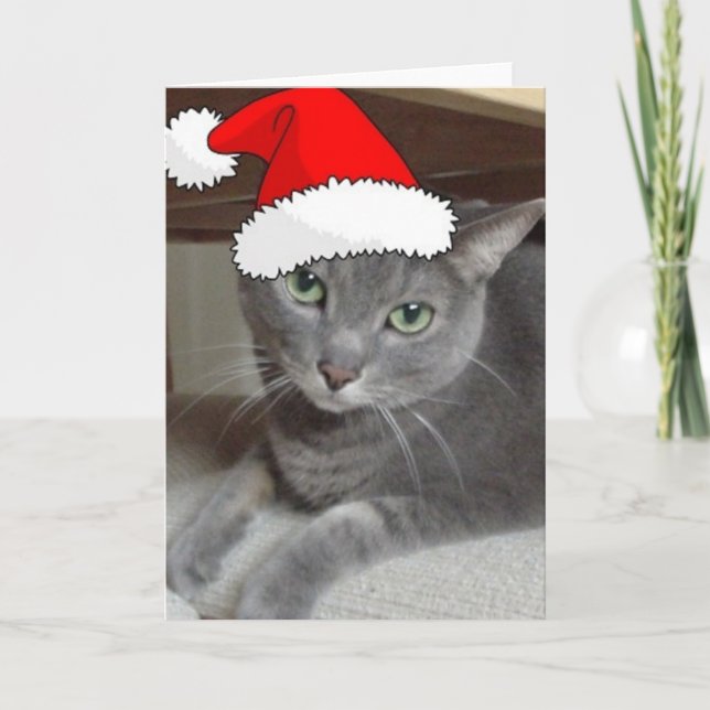 Christmas Russian Blue Gray Cat Holiday Card (Front)