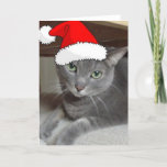Christmas Russian Blue Gray Cat Holiday Card