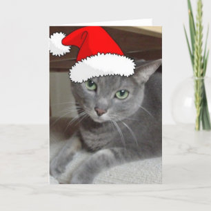 Christmas Russian Blue Gray Cat Holiday Card
