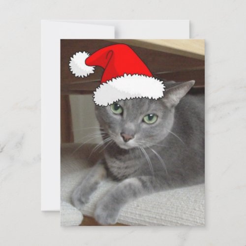 Christmas Russian Blue Gray Cat Holiday Card