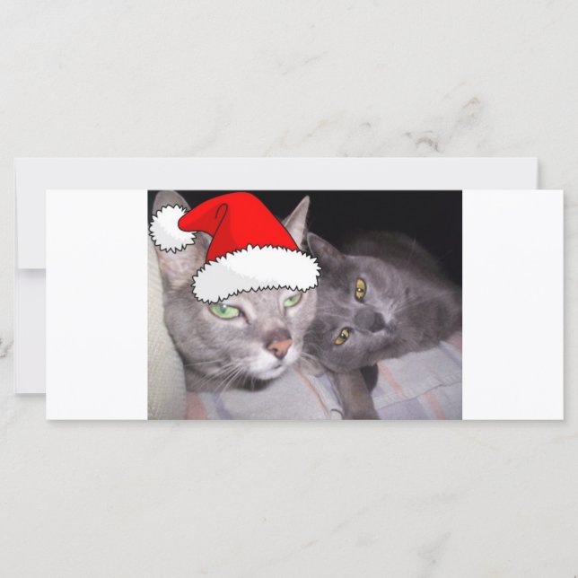 Christmas Russian Blue  Gray Cats (Front)
