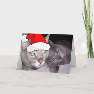 Christmas Russian Blue Gray Cats Holiday Card