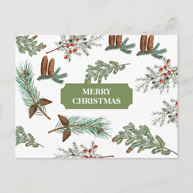 Christmas Rustic Conifers Pine Merry Christmas Holiday Postcard (Front)