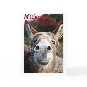 **CHRISTMAS** SAD DONKEY SAYS "MISS YOU!" HOLIDAY CARD