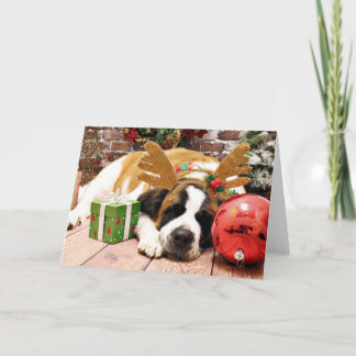 Christmas - Saint Bernard - Blue Holiday Card