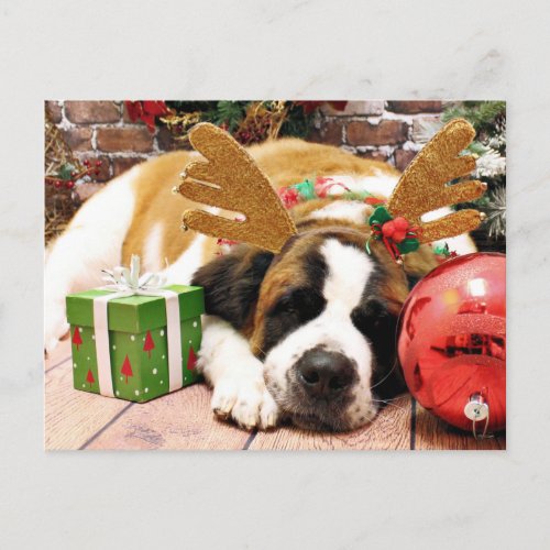 Christmas _ Saint Bernard _ Blue Holiday Postcard