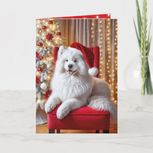Christmas Samoyed Dog On a Red Chair Holiday Card