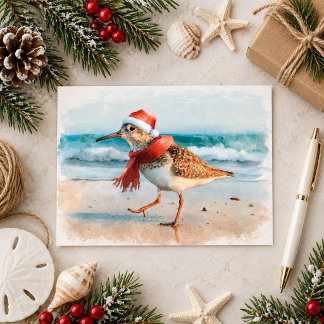 Christmas Sandpiper at Beach Postcard