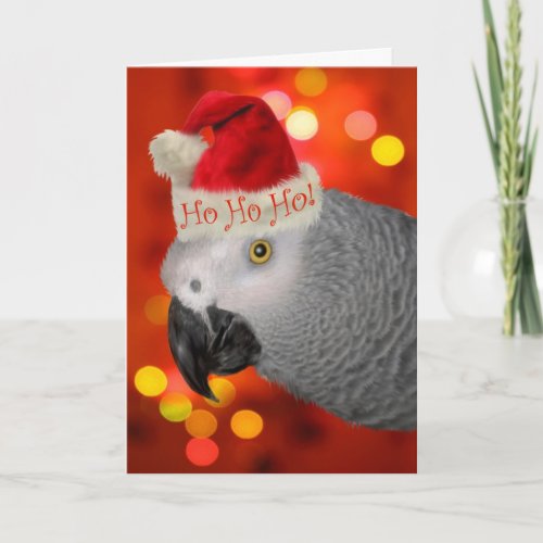 Christmas Santa African Grey Parrot Holiday Card