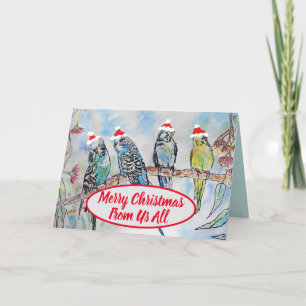 Christmas Santa Budgies Budgie Funny Bird Card