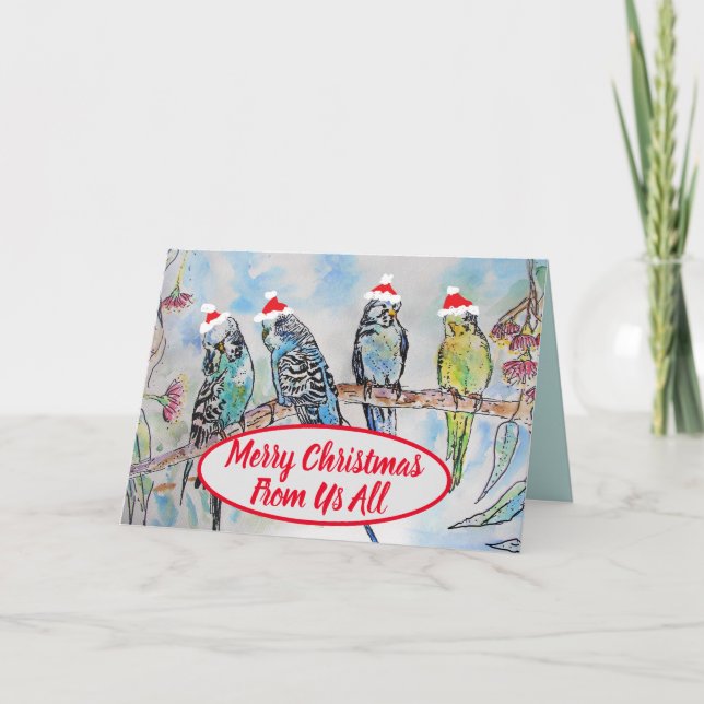 Christmas Santa Budgies Budgie Funny Bird Card (Front)