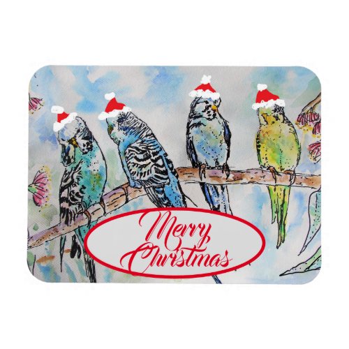 Christmas Santa Budgies Budgie Funny Bird Card Magnet
