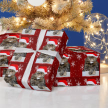 Christmas Santa Cat Humbug Photo Red Snowflake