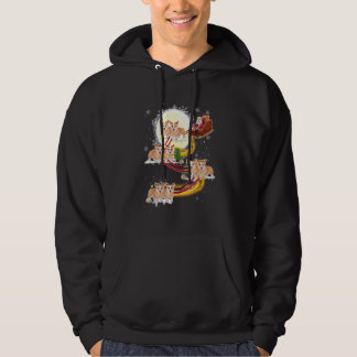 Christmas Santa Claus Riding Corgi Dogs Xmas Hoodie