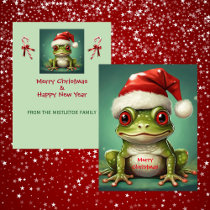 Christmas Santa Frog Snowflake A2 Holiday Card