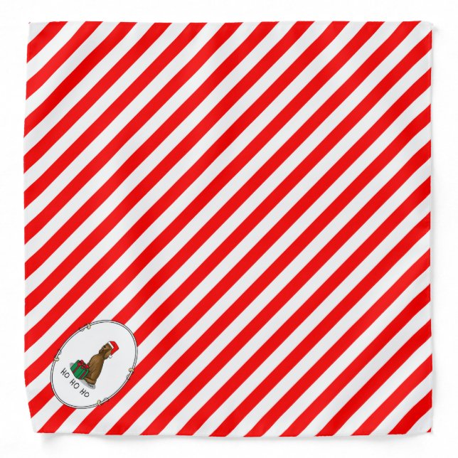 Christmas Santa Hat Irish Setter Dog (red 1) Cute Bandana (Front)