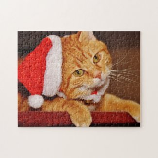 Christmas Santa Hat on an Orange Tabby Cat