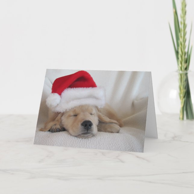 Christmas Santa Hat Pup Holiday Card (Front)