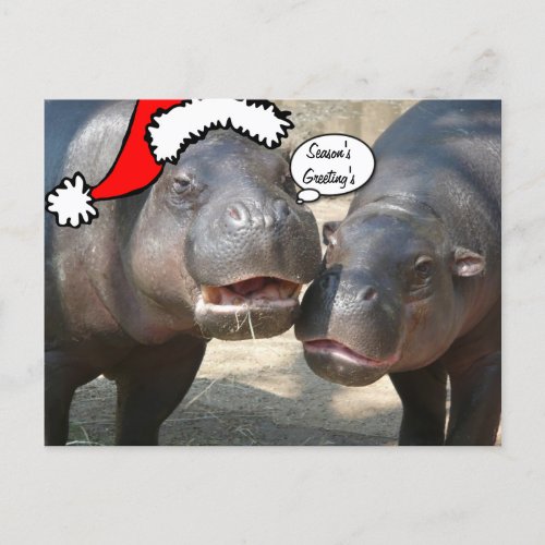 Christmas Santa Hippo postcard