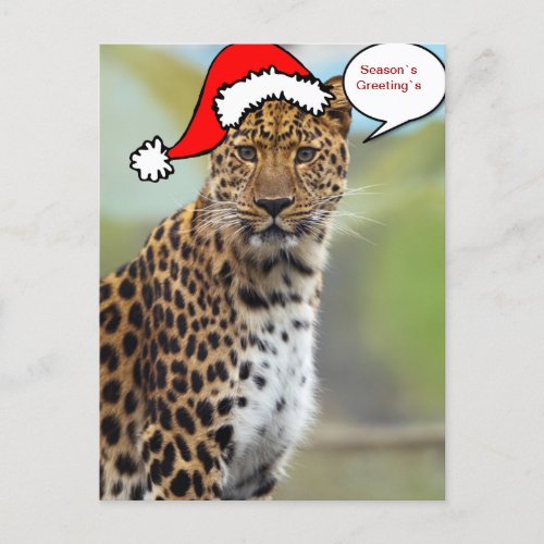 Christmas Santa leopard postcard 2