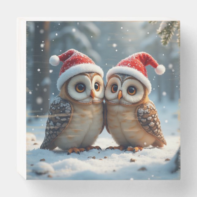 Christmas Santa Owl Wooden Box Sign (Front Horizontal)