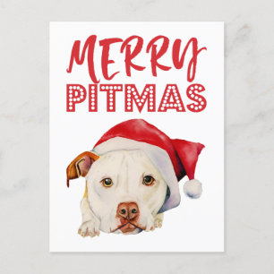 Christmas Santa Pit Bull Dog   Merry Pitmas Holiday Postcard