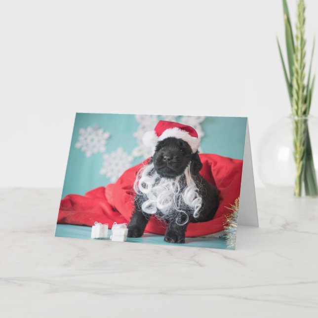 Christmas Santa Puppy Holiday Card (Front)