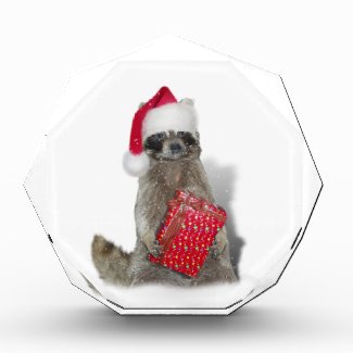 Christmas Santa Raccoon Bandit Acrylic Award