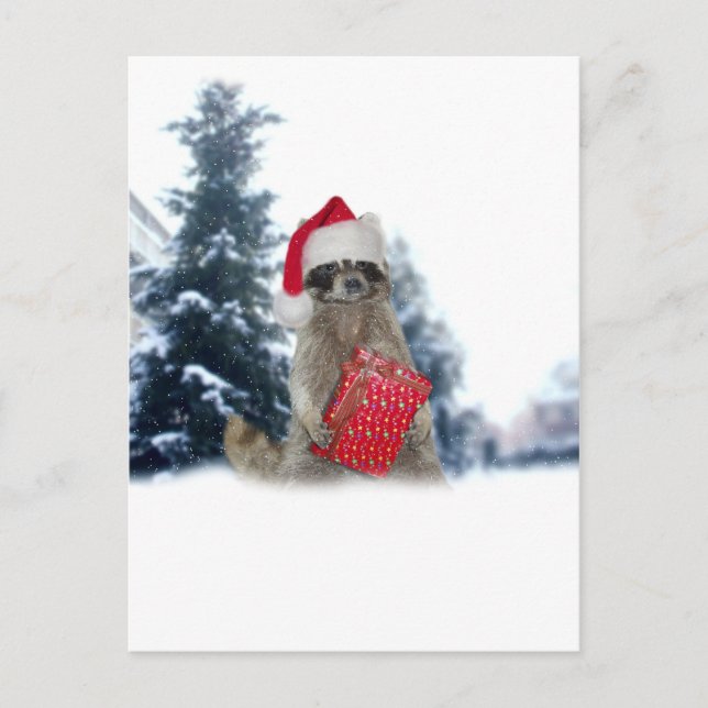 Christmas Santa Raccoon Bandit Holiday Postcard (Front)
