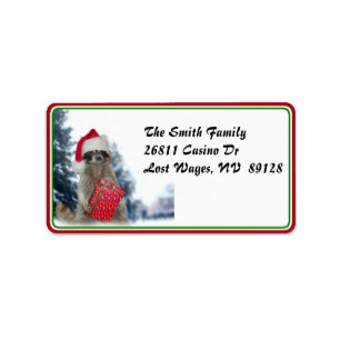Christmas Santa Raccoon Bandit Label