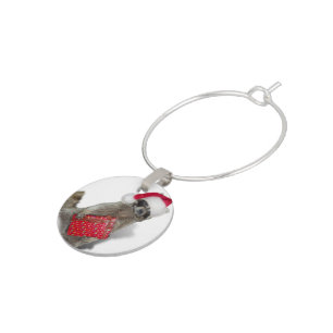 Christmas Santa Raccoon Bandit Wine Glass Charm