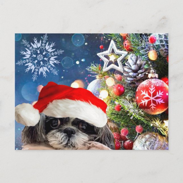 Christmas Santa Shih Tzu Postcard (Front)