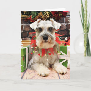 Christmas - Schnauzer - Abby Holiday Card