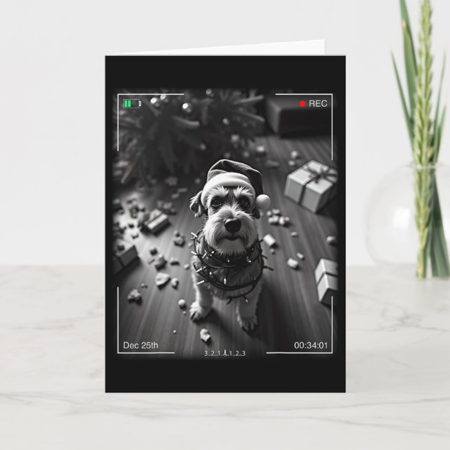 Christmas Schnauzer Caught On Camera  Card (Front)