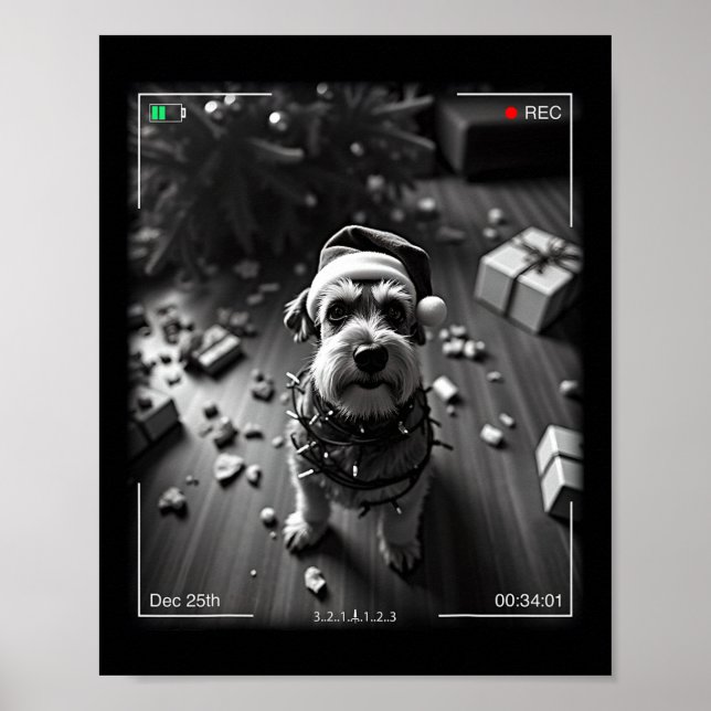 Christmas Schnauzer Caught On Camera  Poster (Front)