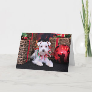 Christmas - Schnauzer - Emma Holiday Card